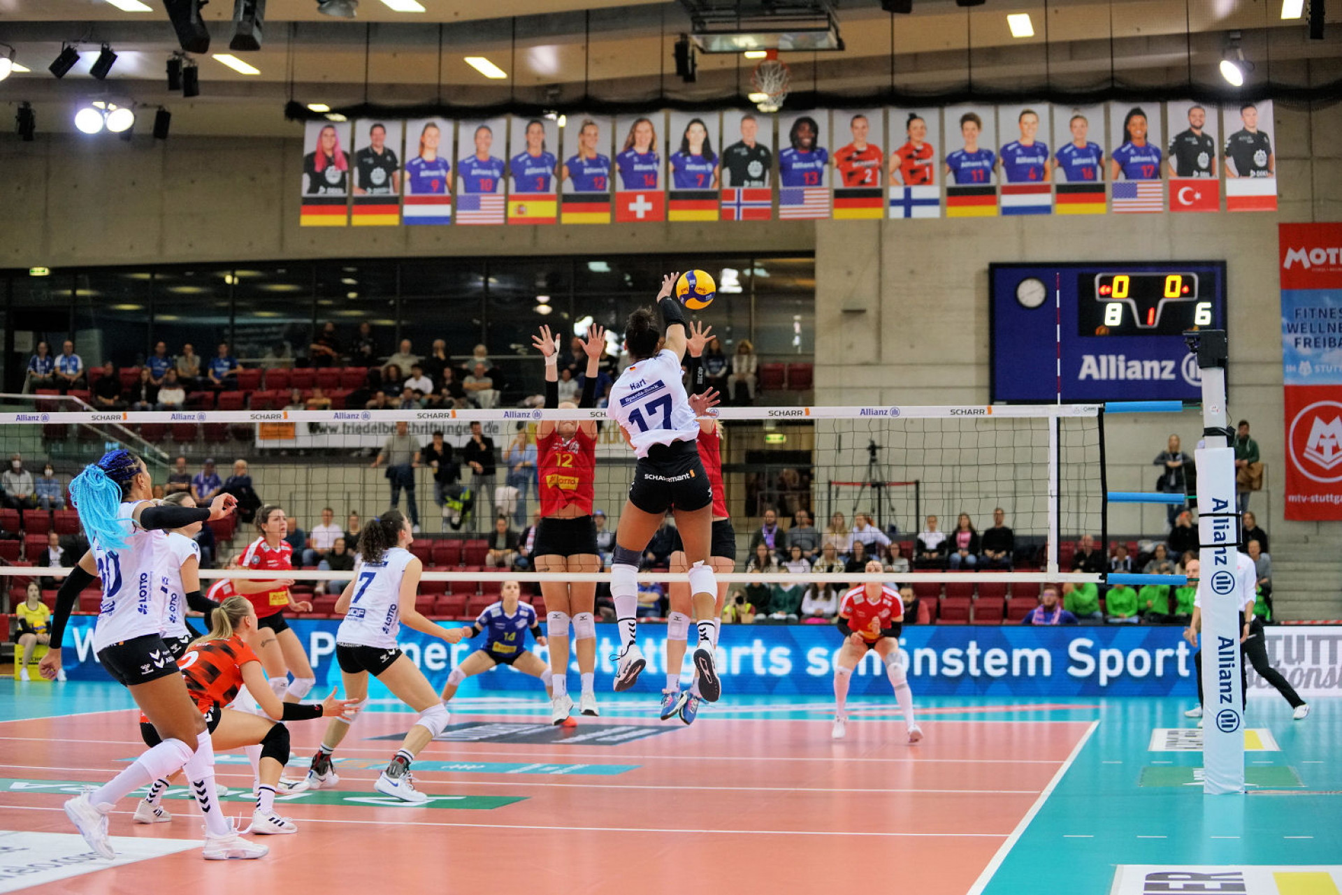 Einzug in das Viertelfinale des DVV-Pokal 2023 - Foto: Frank Voß